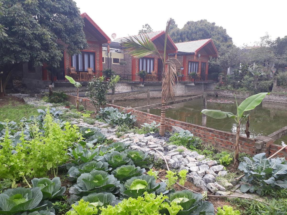 Chez Hiep Tam Coc Homestay Ninh Binh Dış mekan fotoğraf